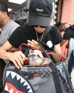 3AM PET CARRIER><noscript><img width=