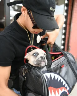 3AM PET CARRIER><noscript><img width=