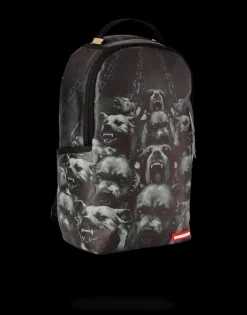 PITBULLS>SPRAYGROUND Hot