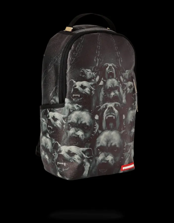 PITBULLS>SPRAYGROUND Hot