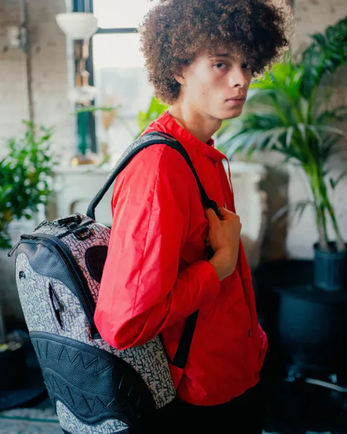 SG ALL DAY BACKPACK (DLXV)>SPRAYGROUND