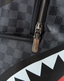 SHARKS IN PARIS (BLACK)><noscript><img width=