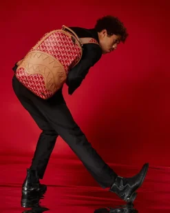 THE 3DSG CONCORDE BACKPACK><noscript><img width=