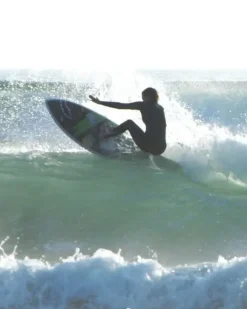 WTF SURFBOARD><noscript><img width=